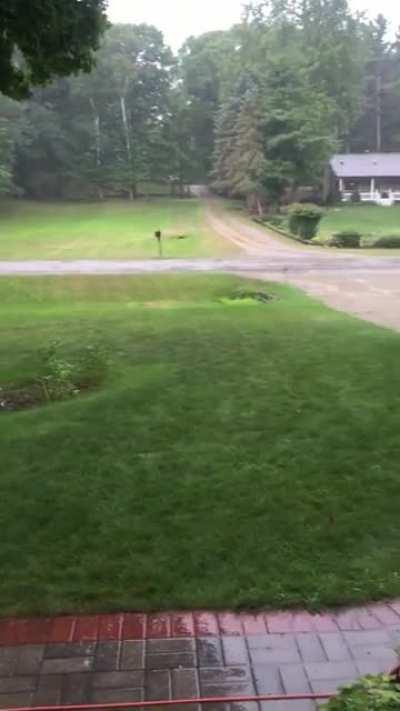 Northern Michigan Morning Thunderstorm