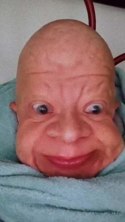 Anatomical terminology. Eyes are organs of the visual system. They provide animals with vision, the ability to receive and process visual detail, as well as enabling several photo response functions that are independent of vision. Eyes detect light and co