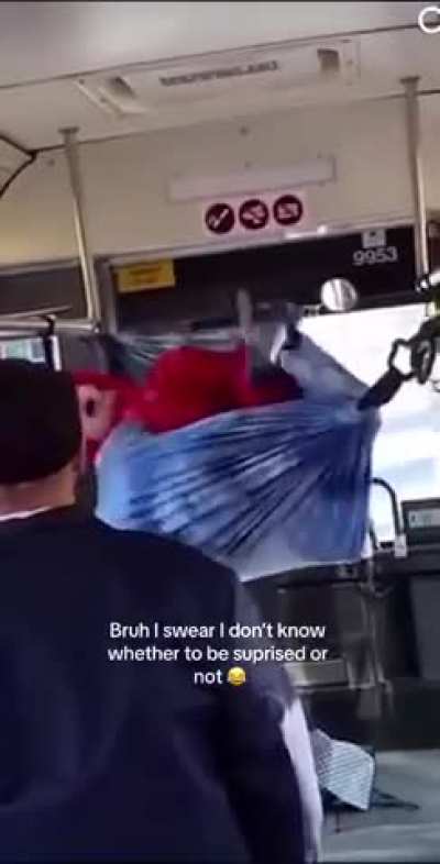 Hammocks are not banned!