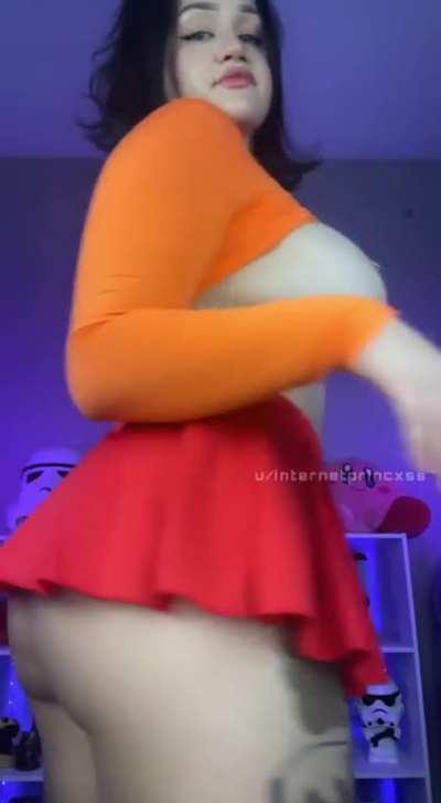 Velma wants to know if you’d breed her