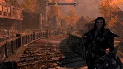 Riften Guard With The Smooth Moves