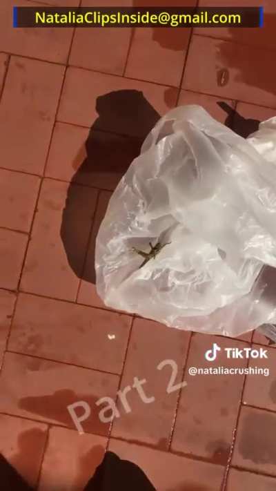 Crushing locust with flip-flops  (Part 2)