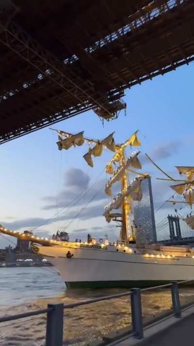 Closer view of the Brooklyn bridge incident. Video not mine