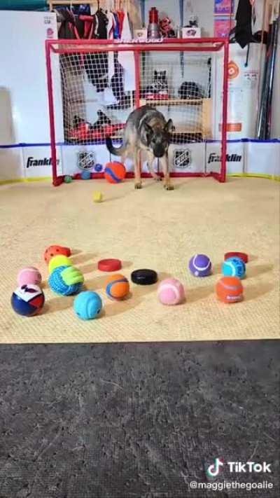 Volve Armani te perdonamos