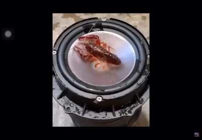 Man the bouncy castle hit different