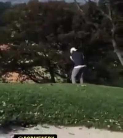 Hey. Here's a video of a deer sucking off another deer while a guy plays golf. Goodnight
