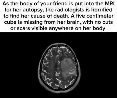 There's no way it can disappeared like that!