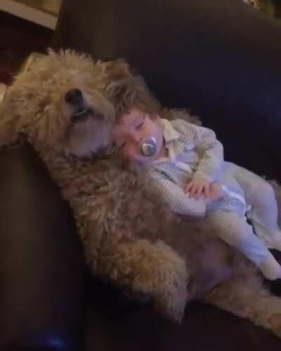 This is the definition of precious!