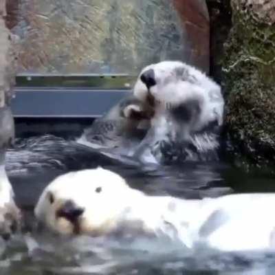 Gotta wash, wash it all