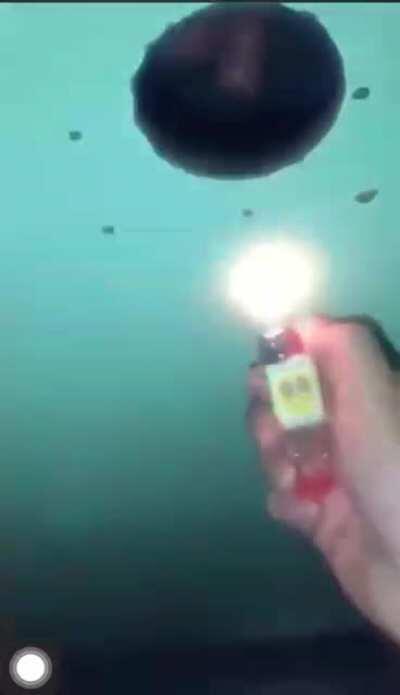 A putaria tá pegando fogo!