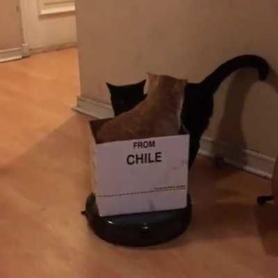 Come on, it's my turn now!