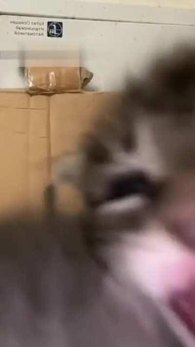 AAAAAAAAAAAAAAAAAAAAAAAAA