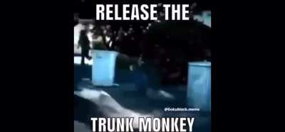 trunk monkey