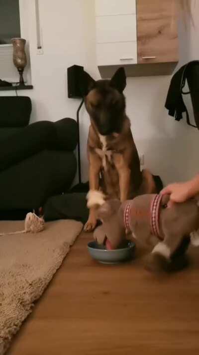 Welp, that doesn't look good...