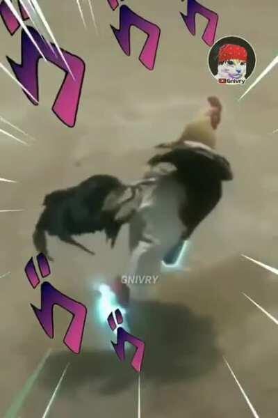 Eso fue caer con estilo 😎