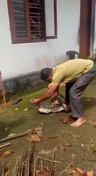 Man force snake to regurgitate his chickens