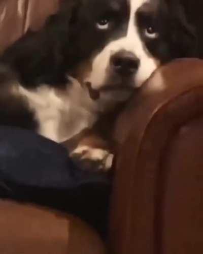 This life keeps getting better and better...