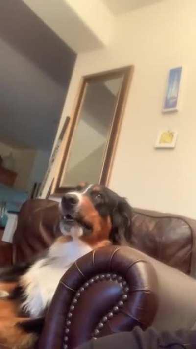 Every day and all day. If she’s awake and I’m not with in reach.