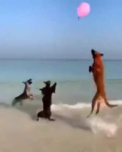 Actual footage of me and my friends playing in plat lobby