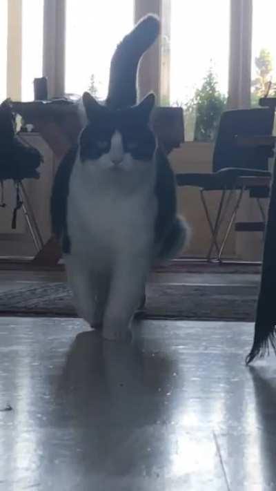 Jiggle jiggle jiggle