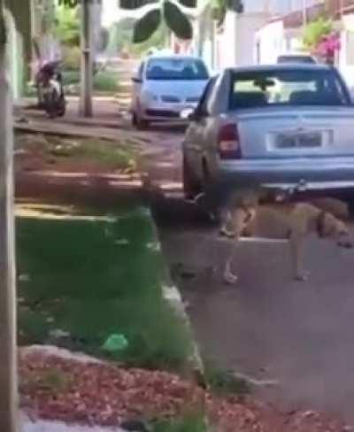 Nada es imposible, No hay barreras para la felicidad!!