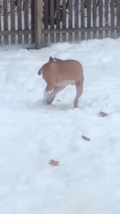 No no, please don't freeze