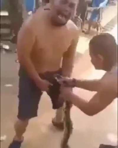 Picadura de la cobra gay