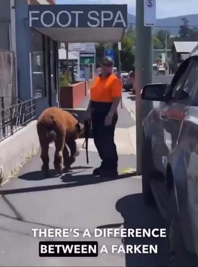 Always wear you hi vis