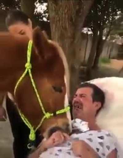 Patient is moved to tears when this therapy horse named Pacoca calmly rests its head on patient's chest. The equine therapy center in Brazil stated that they had never seen any of their horses act like this with their patients.