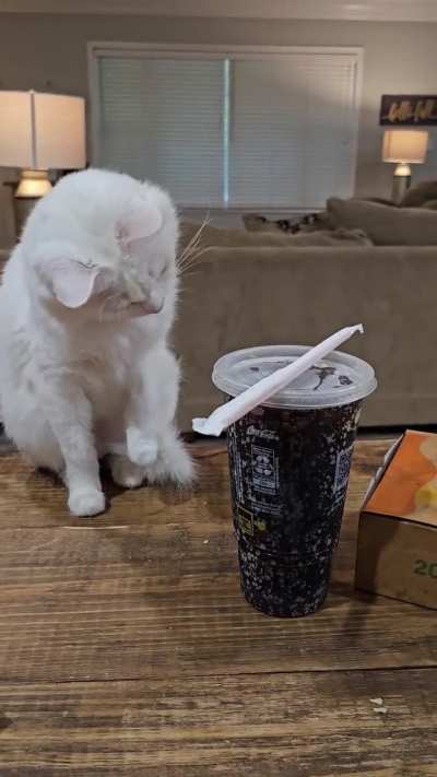 (OC) Lucy's first contact with carbonated drinks