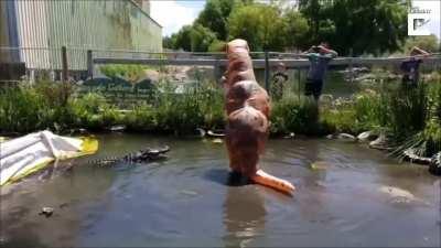 Human T-rex vs gator
