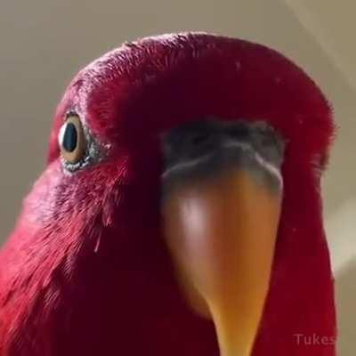 💃🏻💃🏻💃🏻💥