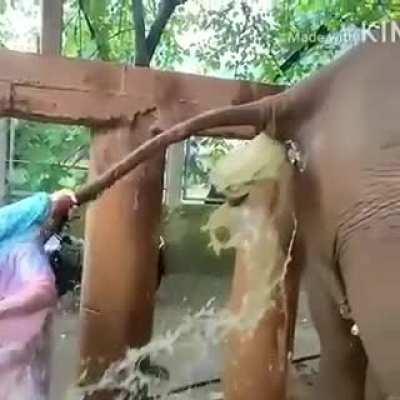 Вовек не отмоешься