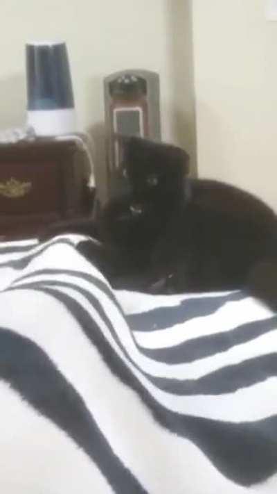 A bite with attitude!!