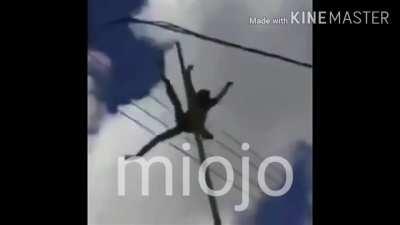 Homo sapiens no banhero