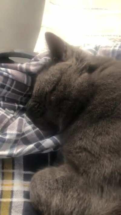 Mouse makes a cute noise