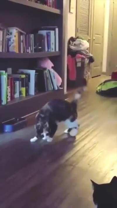 Can you dance like me?