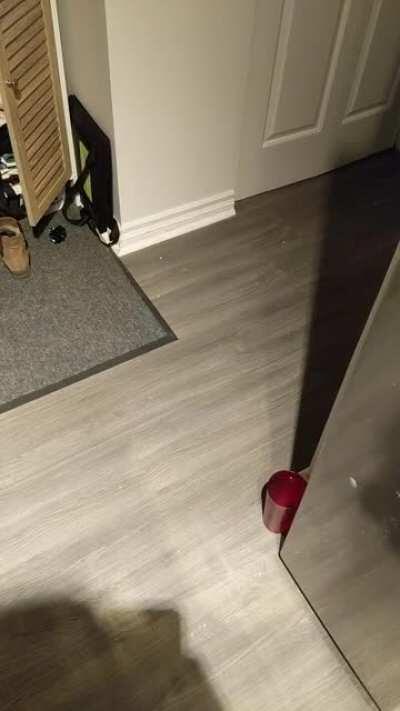 You'd think Leon is dying, but in fact his breakfast was 30 seconds late