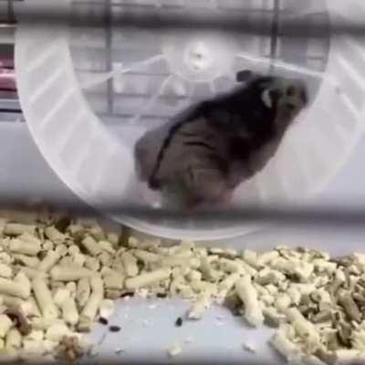 They had to have seen this coming...