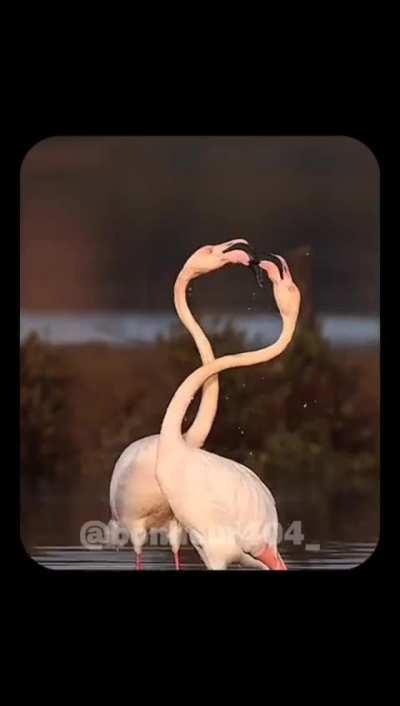 Il m’a éteint moi qui suis pas le foot, il a pas tort