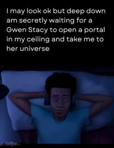 Across the Spiderverse 