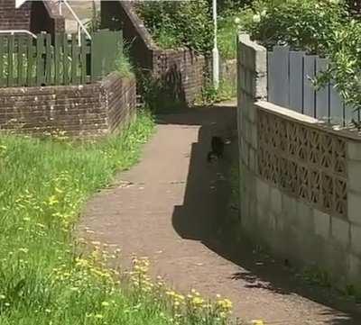 Don’t be suspicious