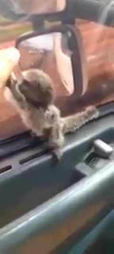 oq é isso muquinha?