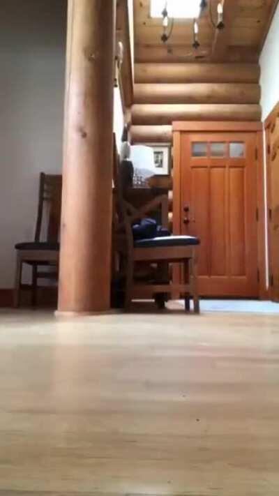 Catch me if you can!