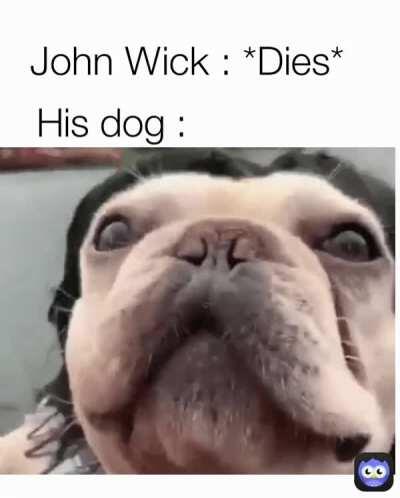 Like that's ever gonna happen