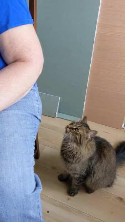 Always ready to remind us that he's waiting