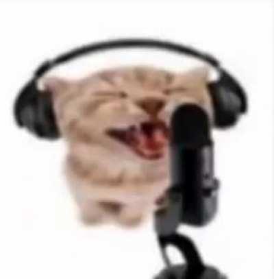 the Chinese authorities have my family