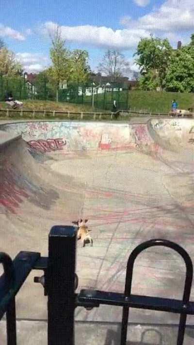 I can skate board too