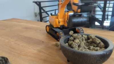 [OC] Neither of us is Cat certified.