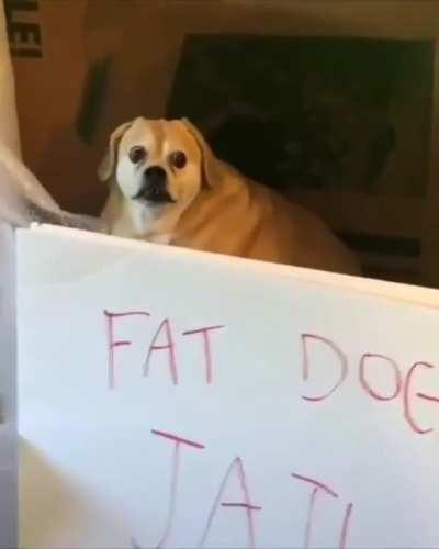 Noooooooooooooo😭😭😭😡 el compa se fue preso.